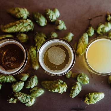 ricette per la birra fatta in casa